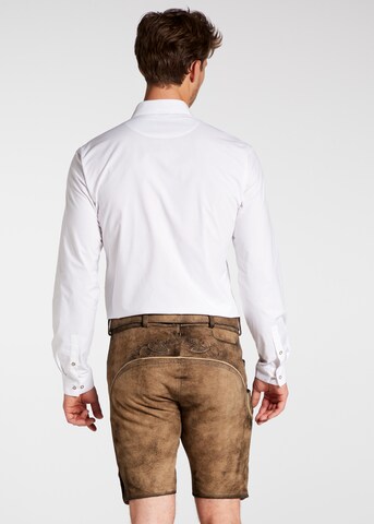 SPIETH & WENSKY Regular Traditional Pants 'Nercel' in Brown