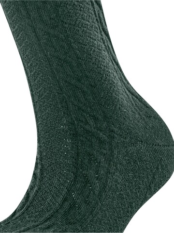 FALKE Socks 'Declivity' in Green