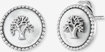 Engelsrufer Earrings in Silver: front