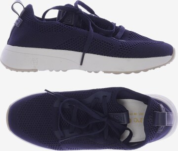 Marc O'Polo Sneakers & Trainers in 37 in Blue: front