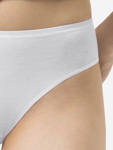 Mey Boyshorts 'Modal Pure' in Mixed colors