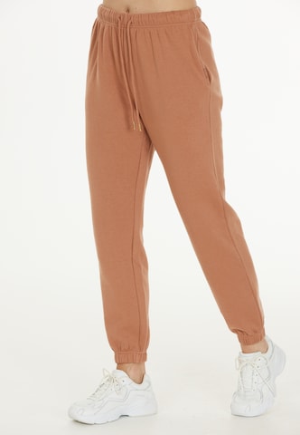 Athlecia Regular Sweatpants 'Soffina' in Braun: predná strana