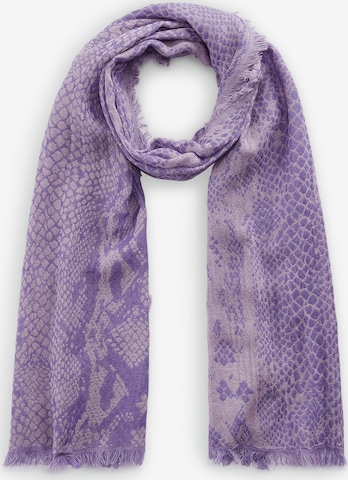 CODELLO Scarf in Purple: front