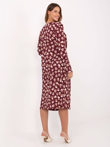 Madnezz House Kleid in Rot