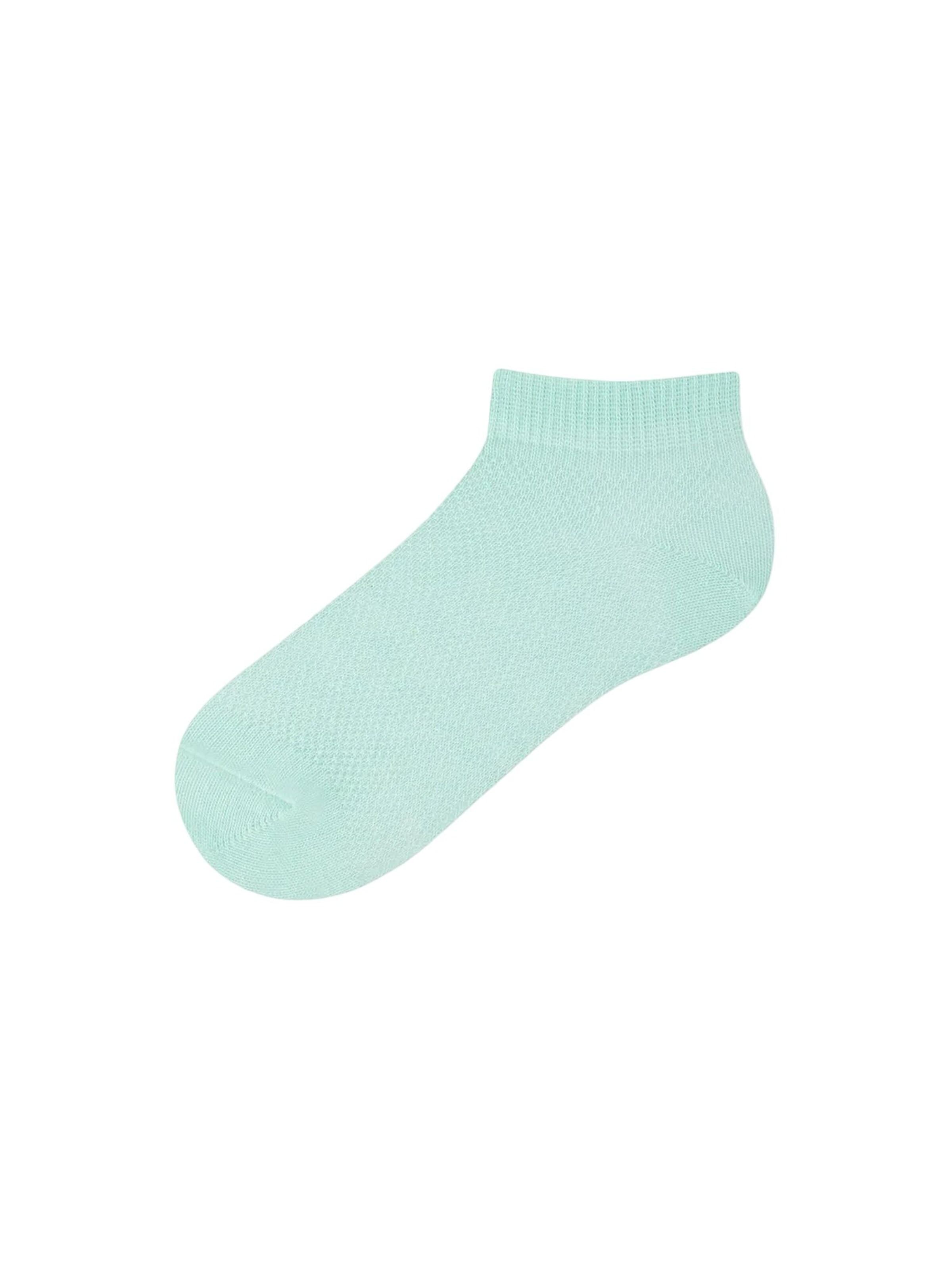 Penti Socken 'PENTI Basic 4er-Pack No-Show-Socken'‌‌ in Mischfarben