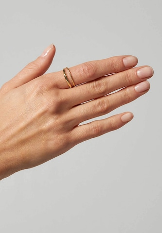 Stilnest Ring in Gold: front