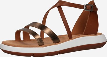 CLARKS Páskové sandály 'Jemsa Strap' – hnědá: přední strana