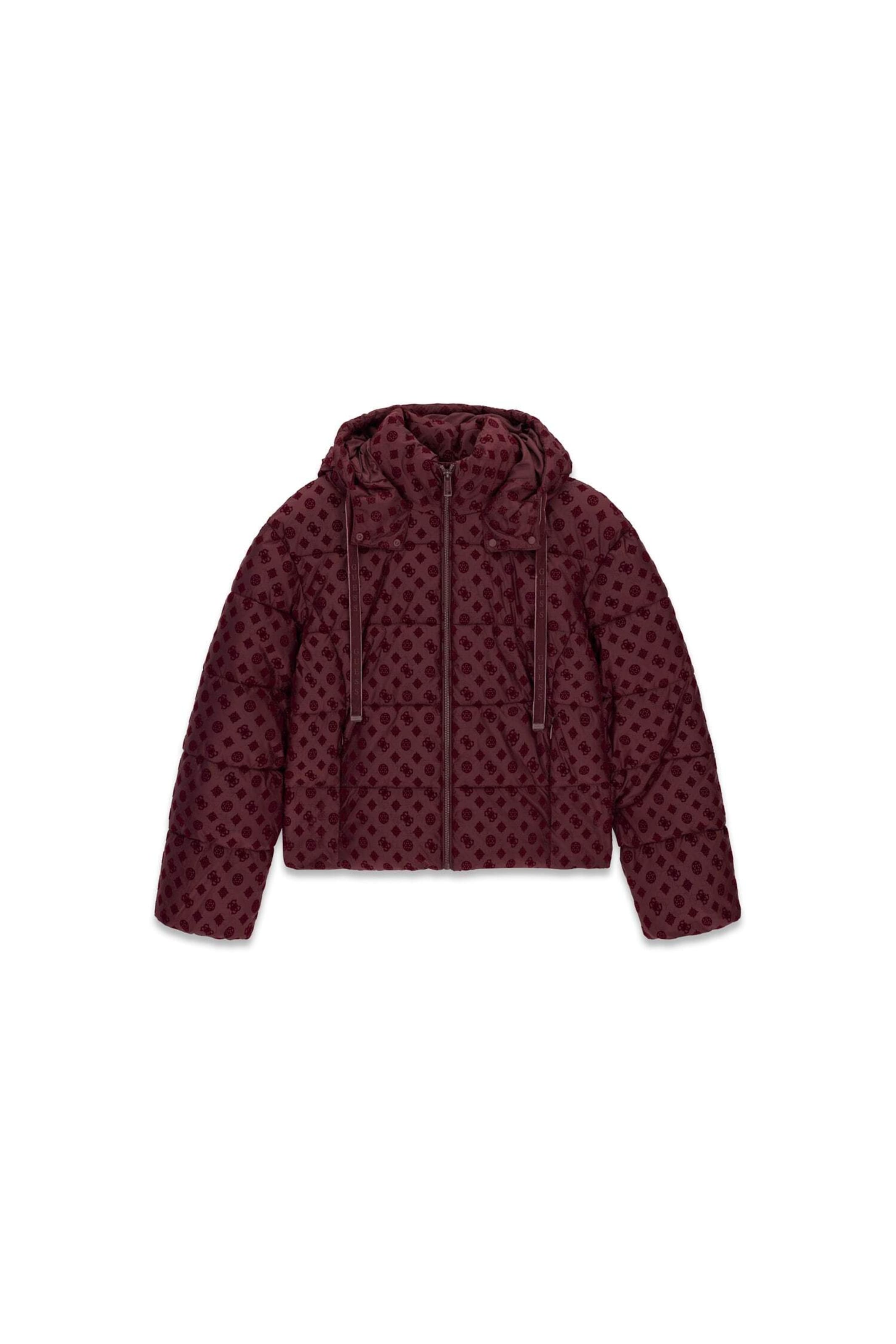 GUESS Winter Jacket in Brown: front