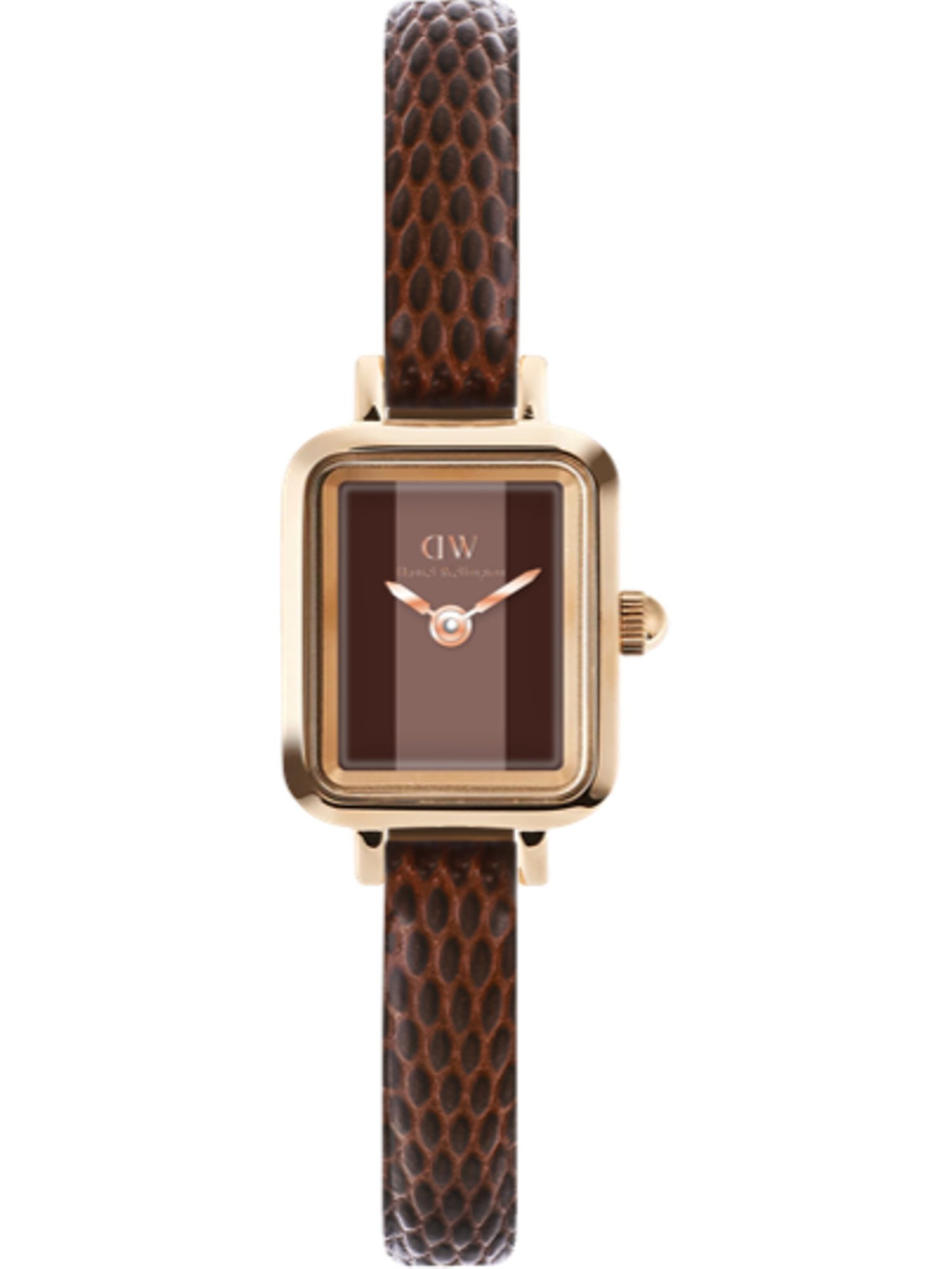 Daniel Wellington Uhr in Braun: Vorderseite
