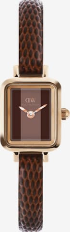 Daniel Wellington Uhr in Braun: Vorderseite