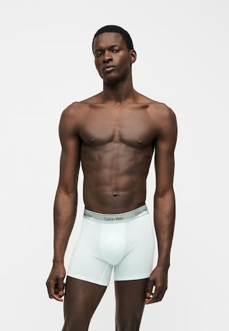 Calvin Klein Underwear - Calzoncillo boxer en azul: frente