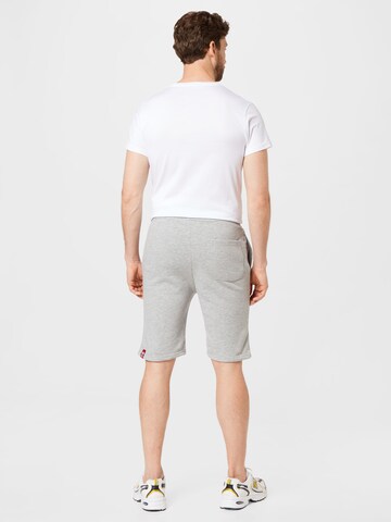 ALPHA INDUSTRIES Regular Shorts in Grau