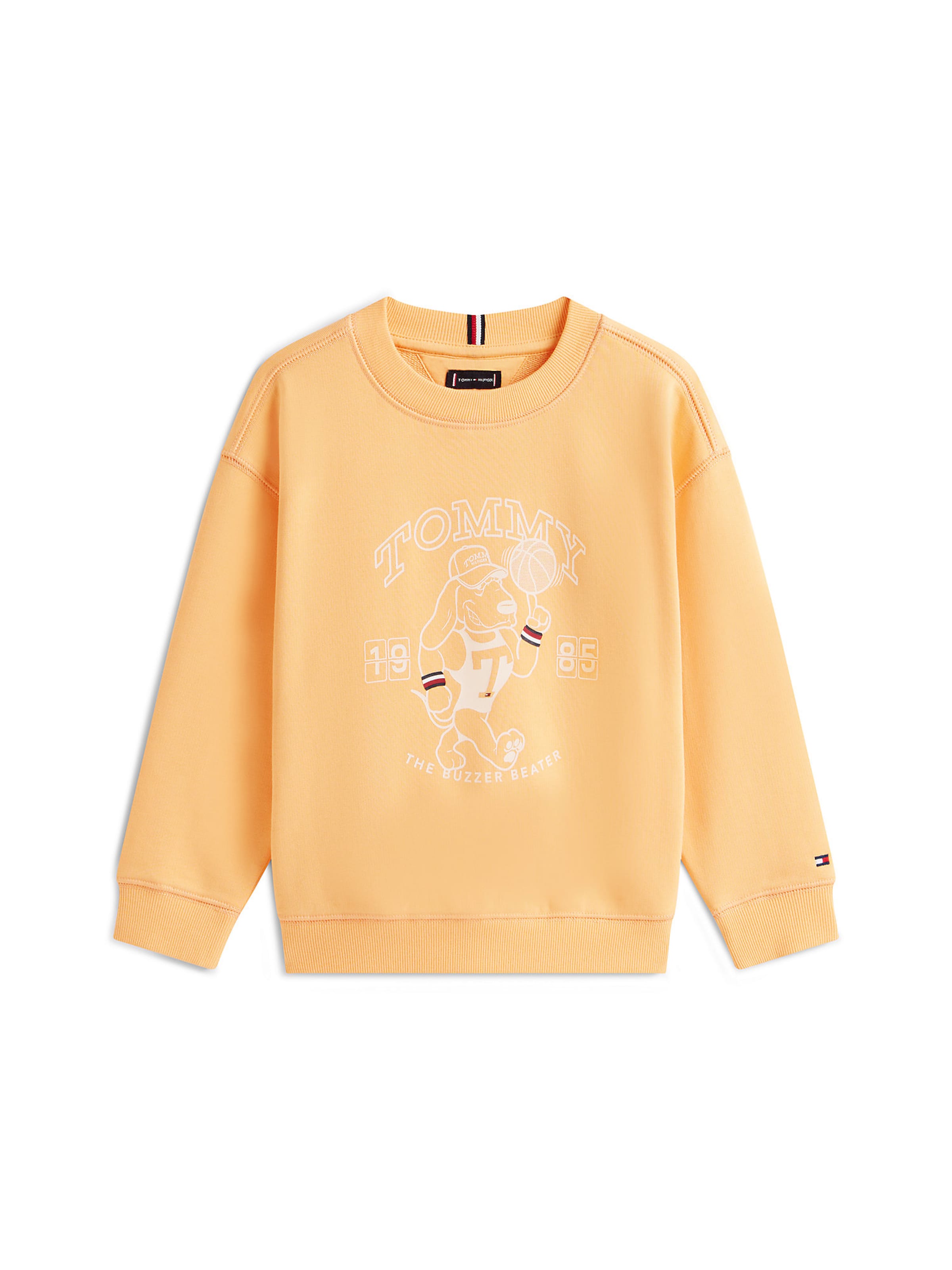 TOMMY HILFIGER Sweatshirt in Orange: front