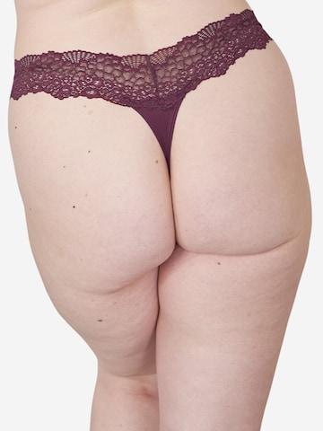 SugarShape String ' Pure Lace ' in Braun