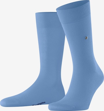 BURLINGTON Socken 'Lord' in Blau: Vorderseite