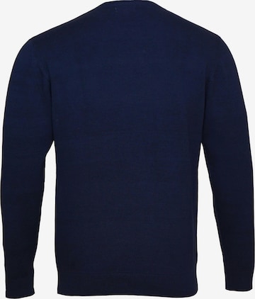 U.S. POLO ASSN. Sweater in Blue