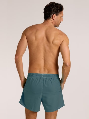 Pantaloncini da bagno di wavebreaker in blu