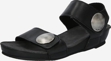 Ca'Shott Sandalen met riem in Zwart: voorkant