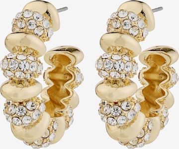 Pilgrim Uhani 'Delphine' | zlata barva: sprednja stran