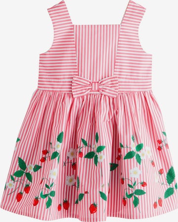 Next Kleid in Rot: Vorderseite