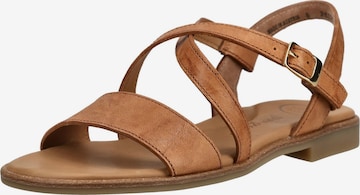 Sandales à lanières Paul Green en marron : devant