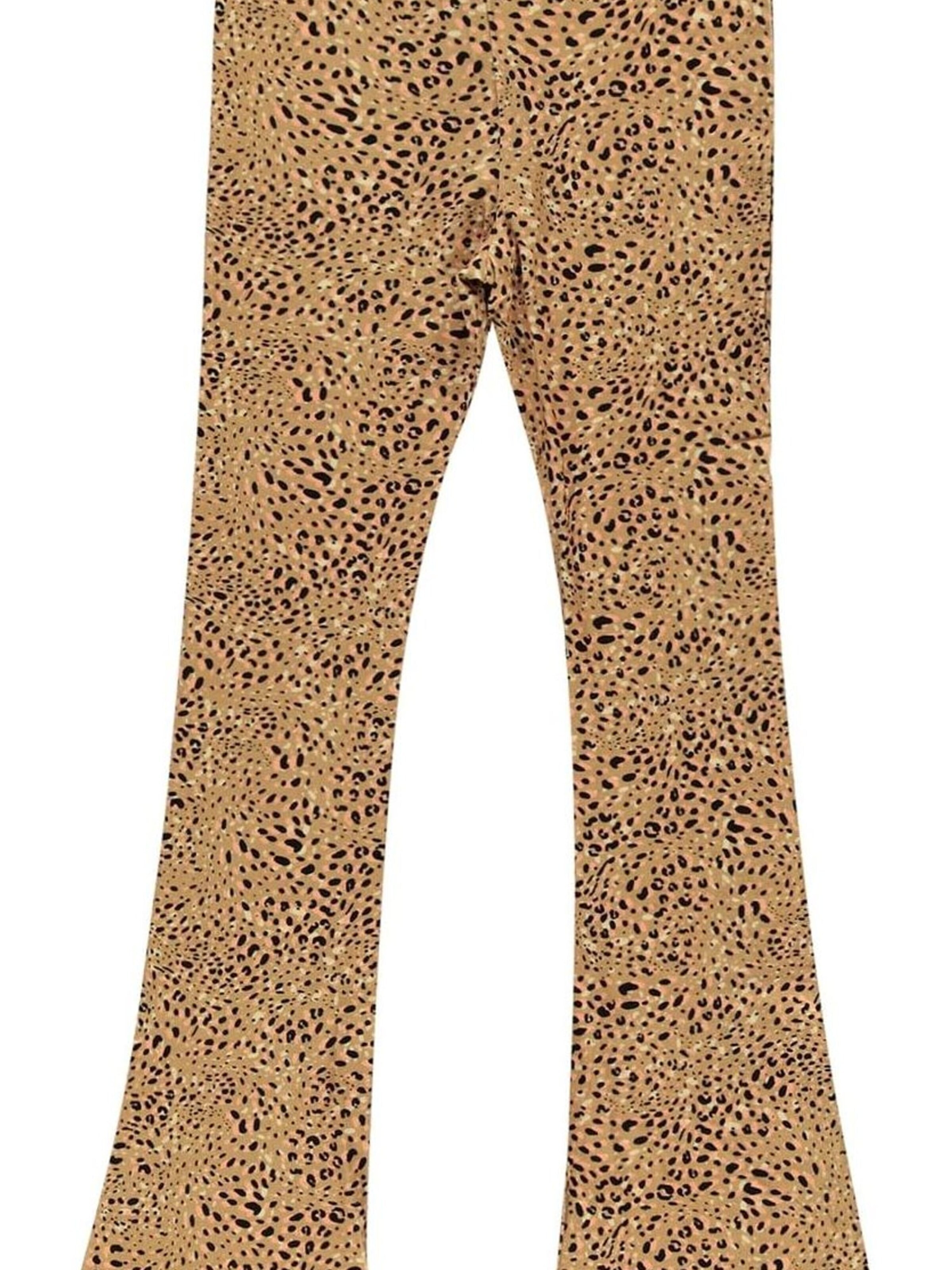 CARS Trousers in Brown