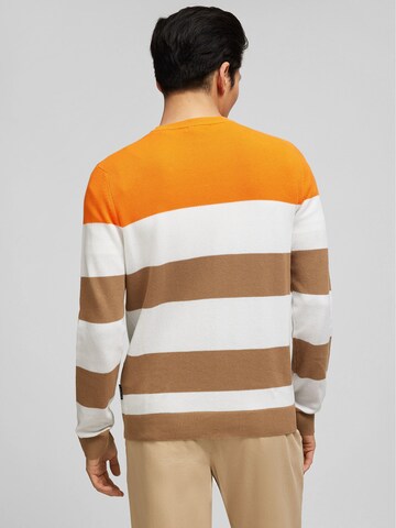 HECHTER PARIS Sweater in Brown