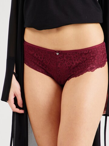 Hunkemöller Panty 'Marine' in Rot: Vorderseite