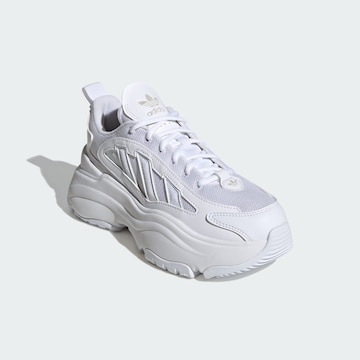 Baskets basses 'Ozgaia' ADIDAS ORIGINALS en blanc