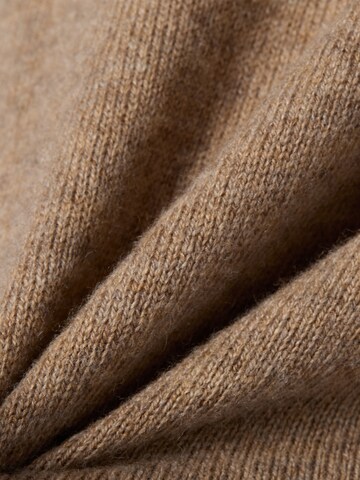 Andrew James Pullover in Beige