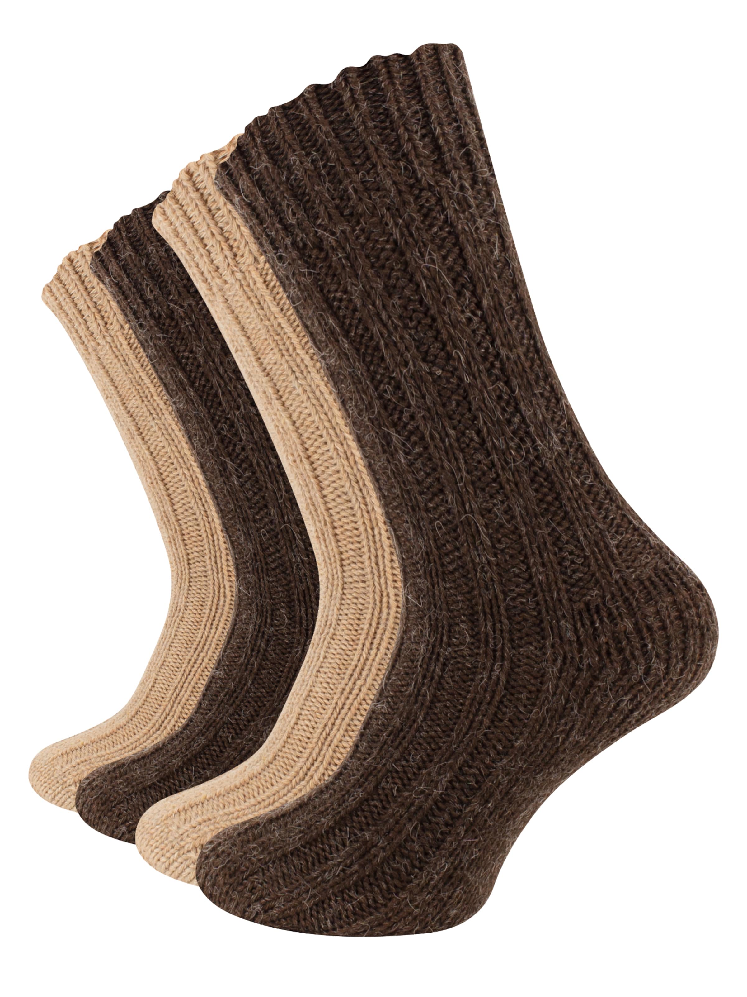 Cotton Prime - Meias em castanho: frente