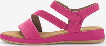 GABOR Strap Sandals in Pink