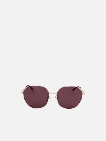 Polaroid Sunglasses in Gold