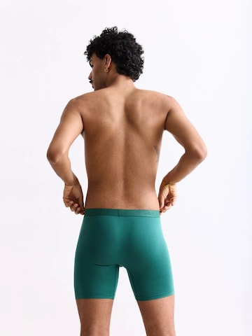 Erlich Textil Boxershorts in Grün