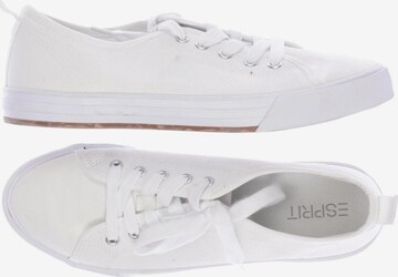 ESPRIT Sneakers & Trainers in 40 in White: front