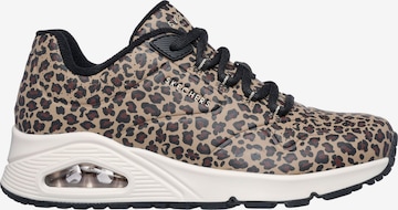 SKECHERS Sneaker 'Uno Kat Neato' in Braun: Vorderseite