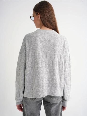Pullover 'Pullover' di MixRay in grigio