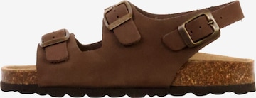 The Divine Factory Huisschoenen 'Kinder-Lederpantolette Noga Mistraly BS Edge' in Bruin: voorkant