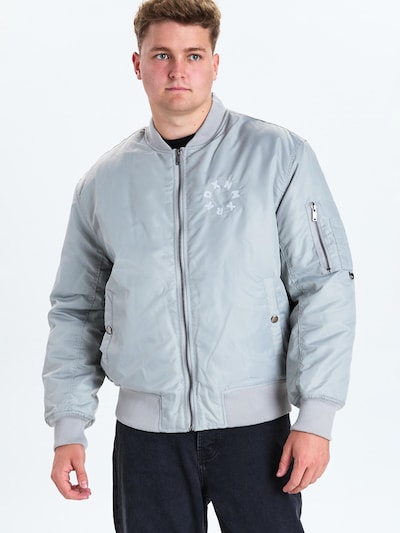 Dxnmxrk Winterjacke 'DXFrost' in grau, Produktansicht