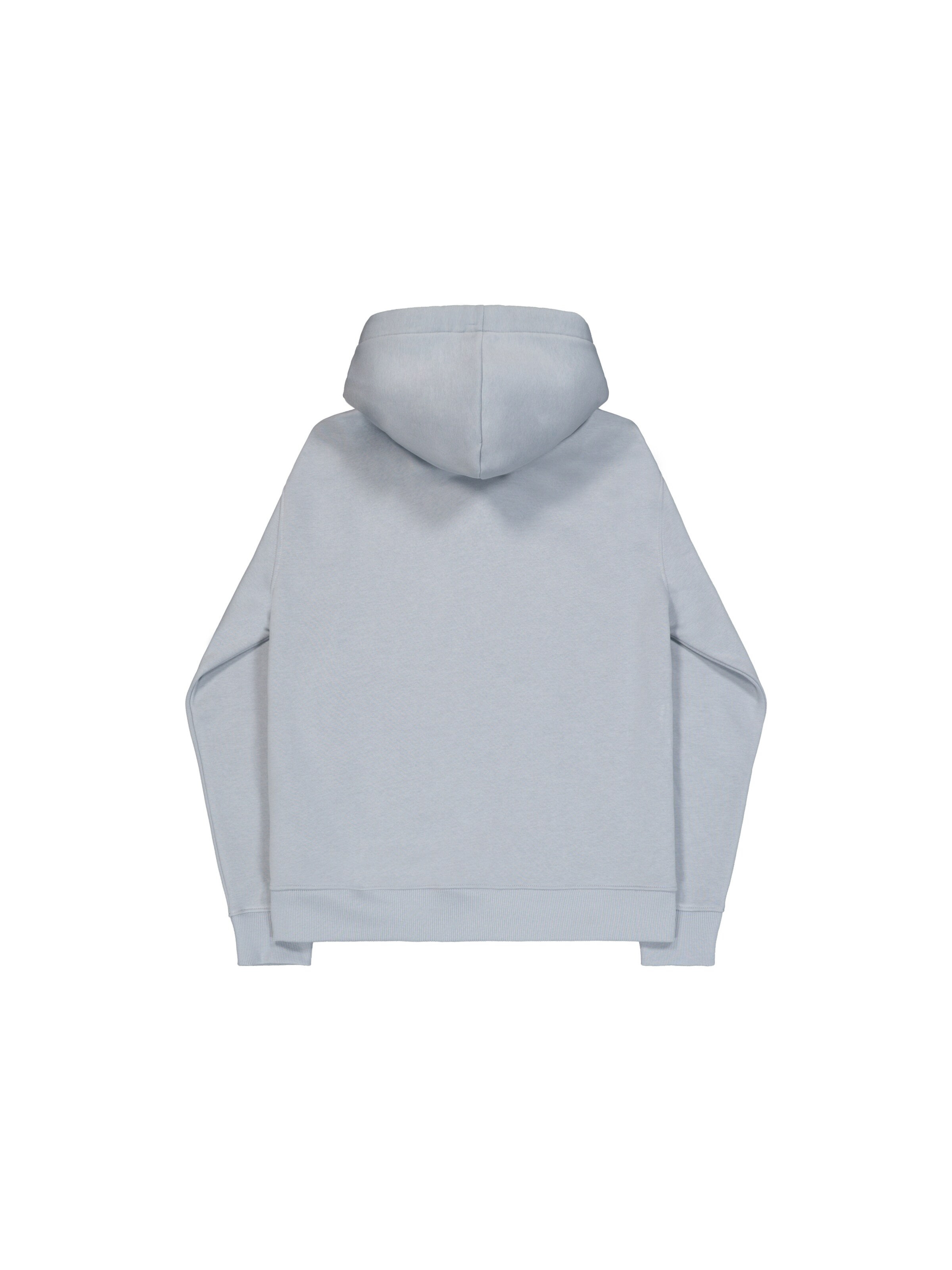 ALPHA INDUSTRIES Sweatshirt in Grau: Rückseite