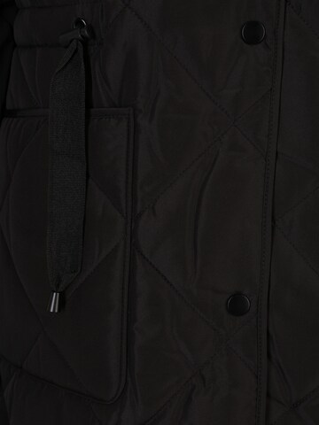 Veste d’hiver Dorothy Perkins Tall en noir