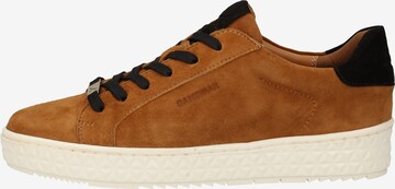 SANSIBAR Sneakers in Brown: front