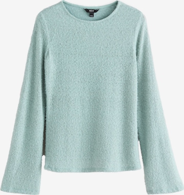 mėlyna Next Megztinis: priekis