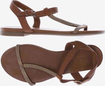 INUOVO Sandals & High-Heeled Sandals in 38 in Brown: front