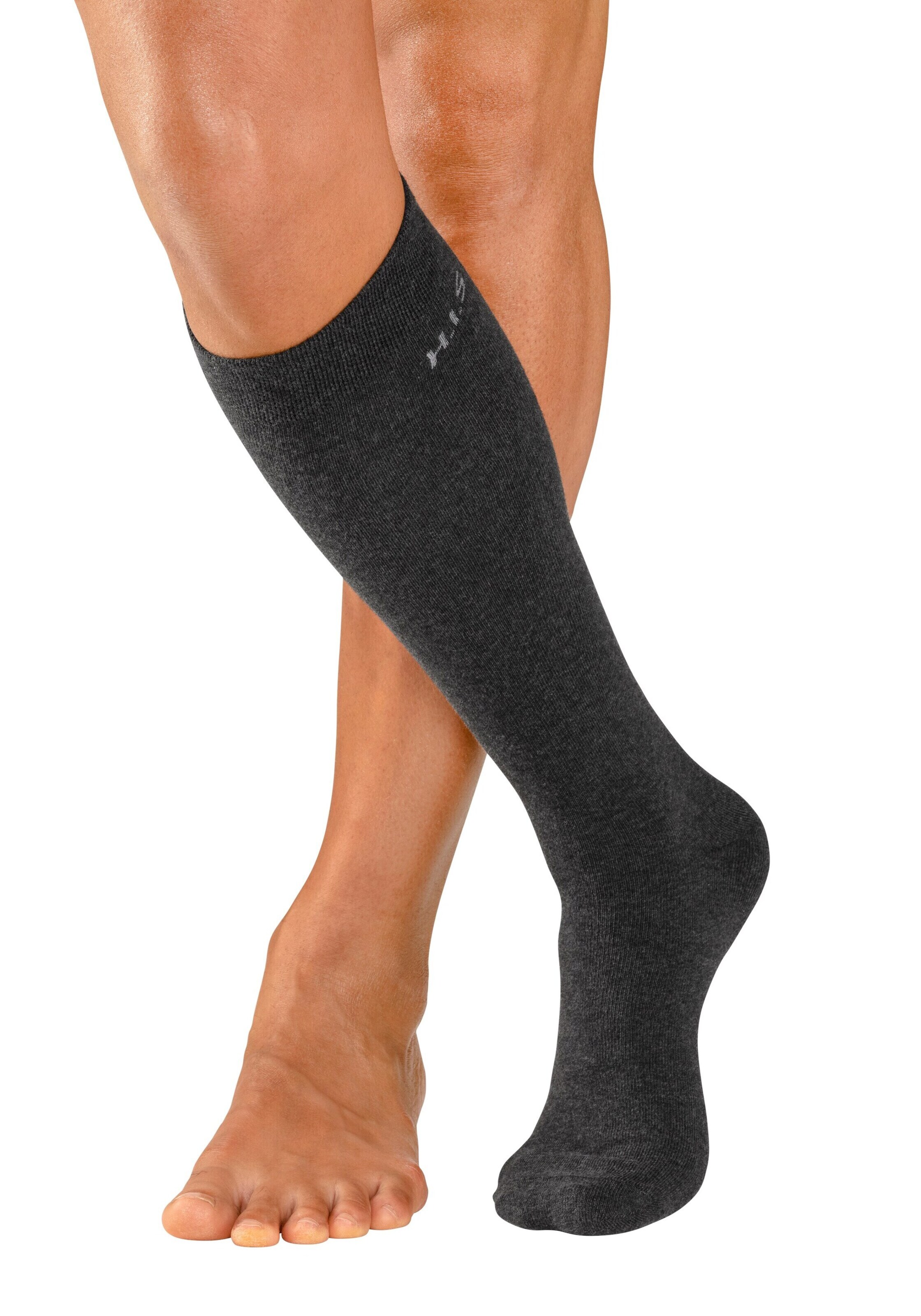 pilka H.I.S Kojinės iki kelių