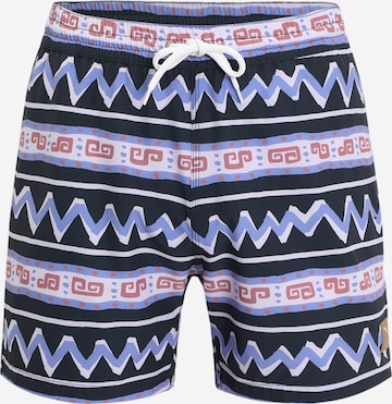 Pantalon 'Crazy Fresh' Iriedaily en bleu : devant