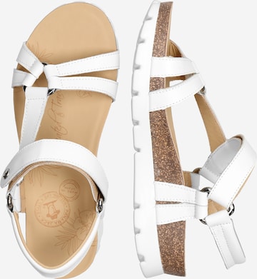 PANAMA JACK Sandals 'Sally' in White