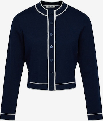 Salsa Jeans Pullover in Blau: Vorderseite
