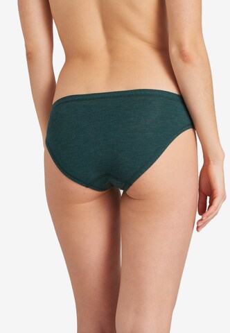 SCHIESSER Panty in Green