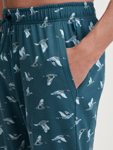 CALIDA Regular Hose in Grün